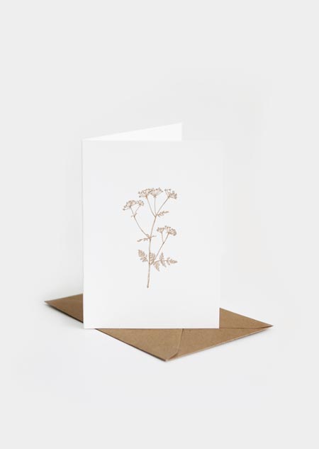 Cow parsley - greeting card