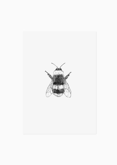 Bumblebee - A5 print 
