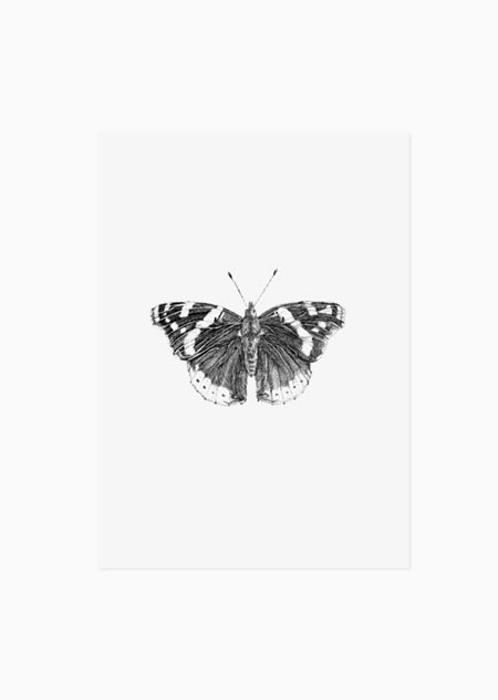 Butterfly (black-white) - A5 print