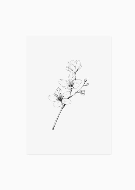 Cherry blossom - A5 print