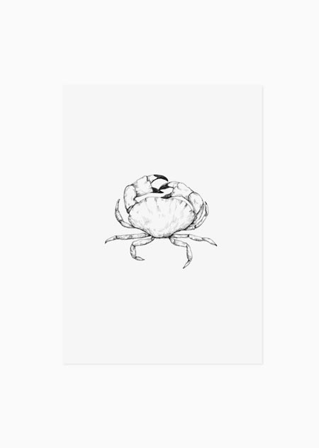 Crab (black-white) - A5 print 