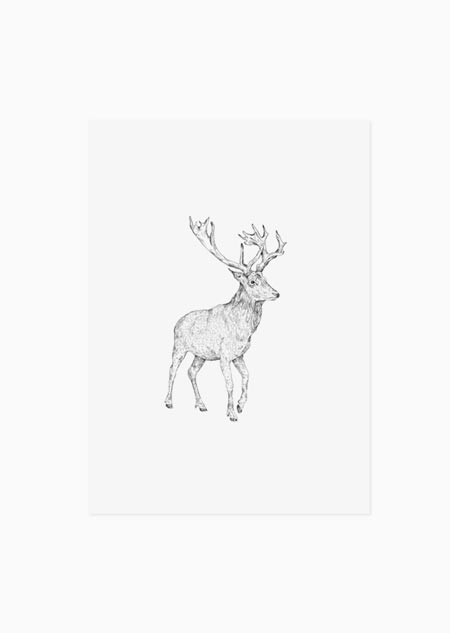 Red deer (black-white) - A5 print 