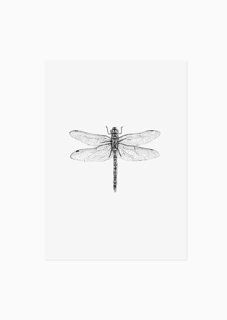 Dragonfly (black-white) - A5 print