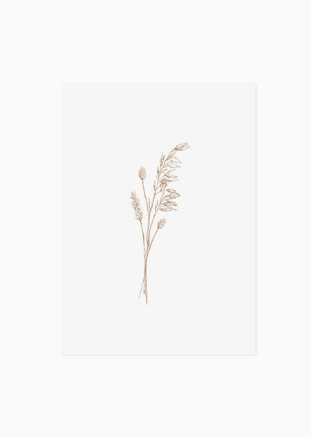 Dried flowers (natural) - A5 print