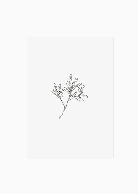 Eucalyptus (black-white) - A5 print 