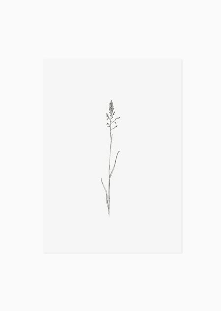 Grass 2 (bw) - A5 print 