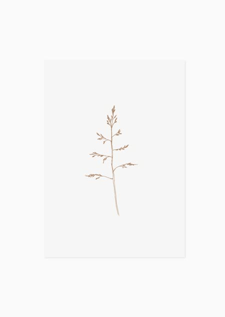 Grass (natural) - A5 print 