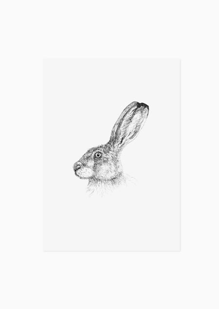 Hare (black-white) - A5 print