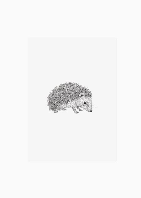 Hedgehog (black-white) - A5 print 