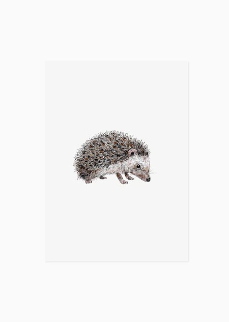 Hedgehog (color) - A5 print