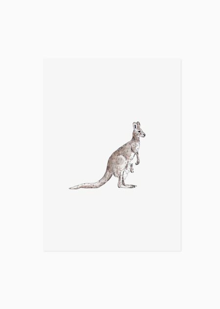 Kangaroo (color) - A5 print  