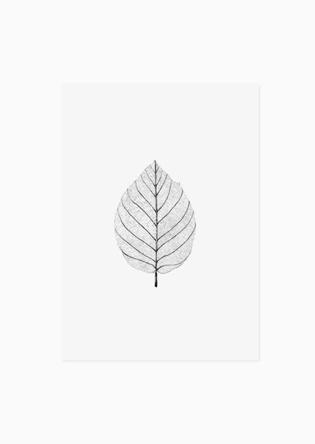 Leaf skeleton - A5 print
