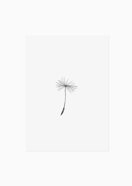 Dandelion seed (black-white) - A5 print 