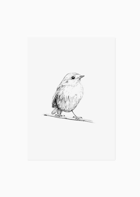 Robin (black-white) - A5 print