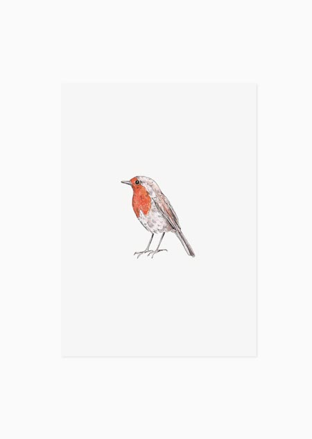 Robin (color) - A5 print