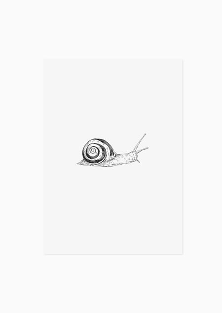 Snail (black-white) - A5 print