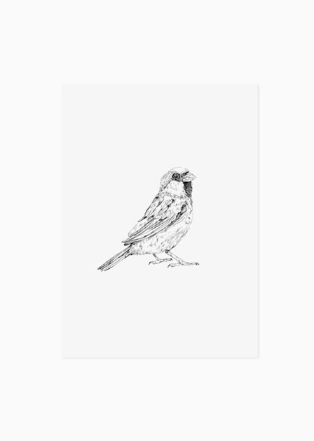 Sparrow (black-white) - A5 print