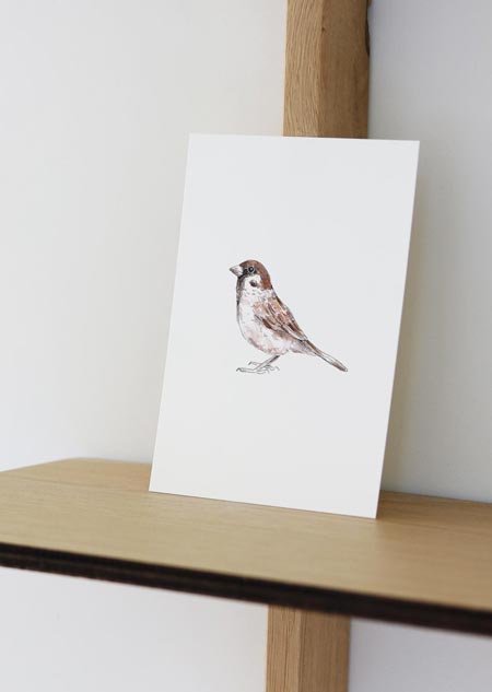Sparrow (color) - A5 print