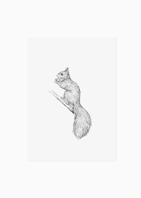 Squirrel (black-white) - A5 print 