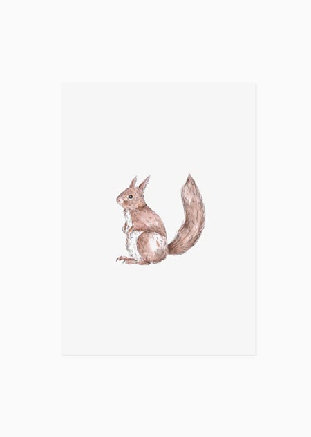 Eekhoorn (kleur) - A5 print