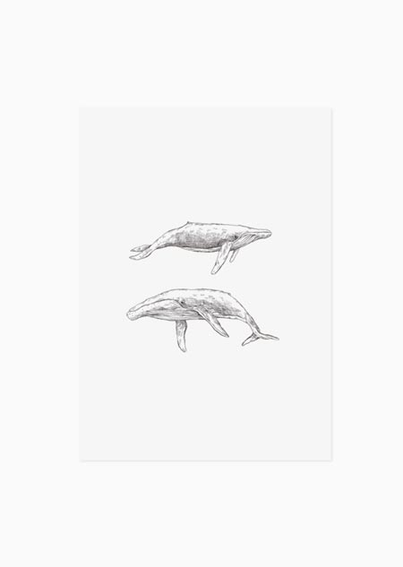 Whales (black-white) - A5 print