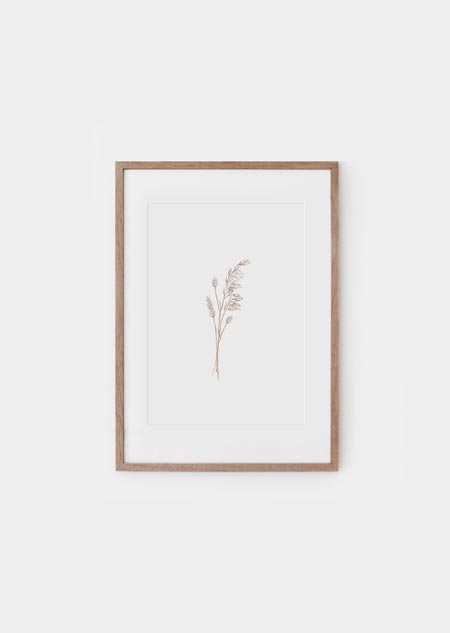 Dried flowers (natural) - A4 poster
