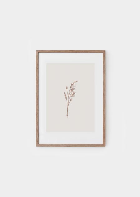 Dried flowers (beige) - A4 poster