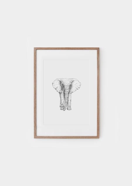 Olifant (zw) - A4 poster