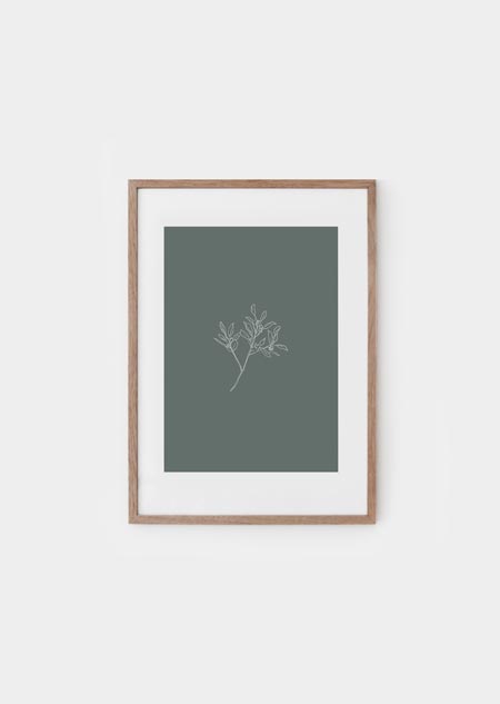 Eucalyptus (groen) - A4 poster 