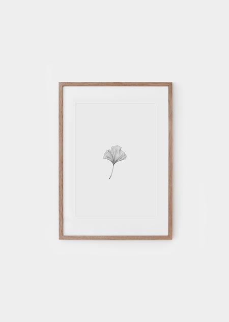 Ginkgo (bw) - A4 poster