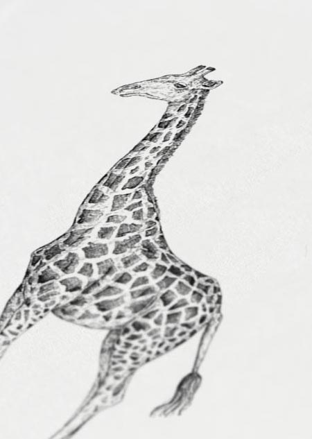 Giraf - A4 poster