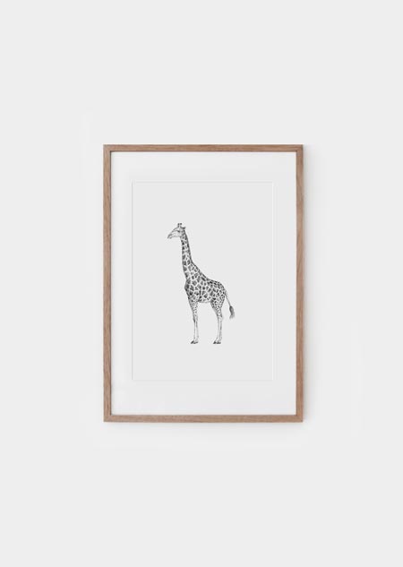 Giraf - A4 poster