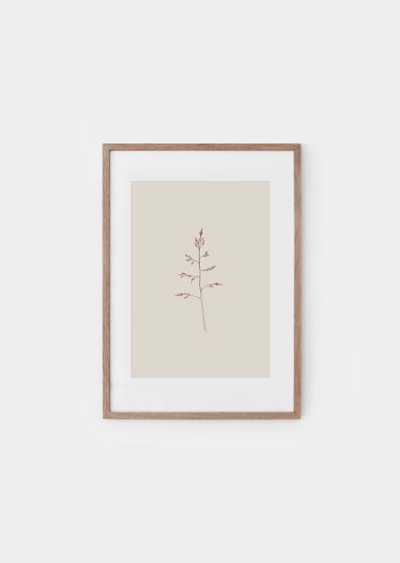 Grass (beige) - A4 poster