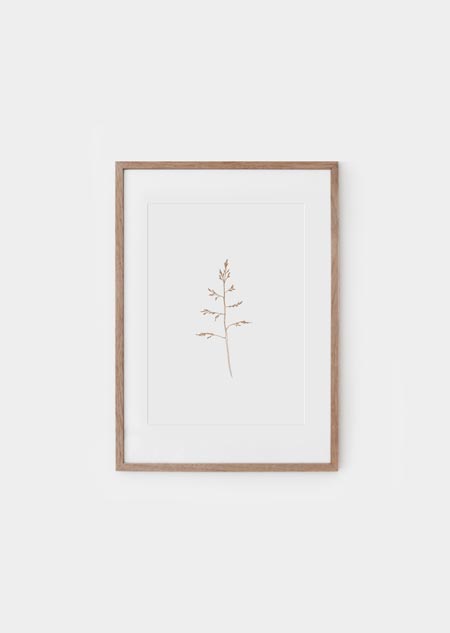Grass (natural) - A4 poster 