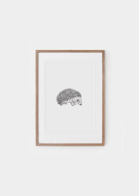 Hedgehog (bw) - A4 poster