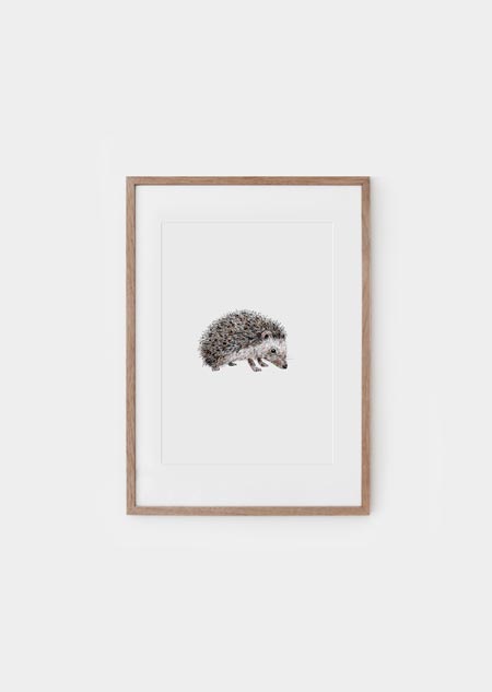 Hedgehog (color) - A4 poster