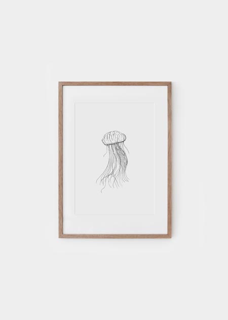 Jellyfish - poster