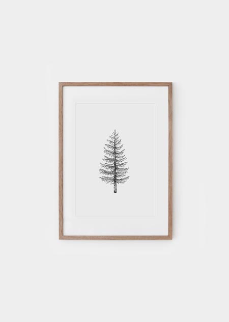 Pine tree - A4 poster