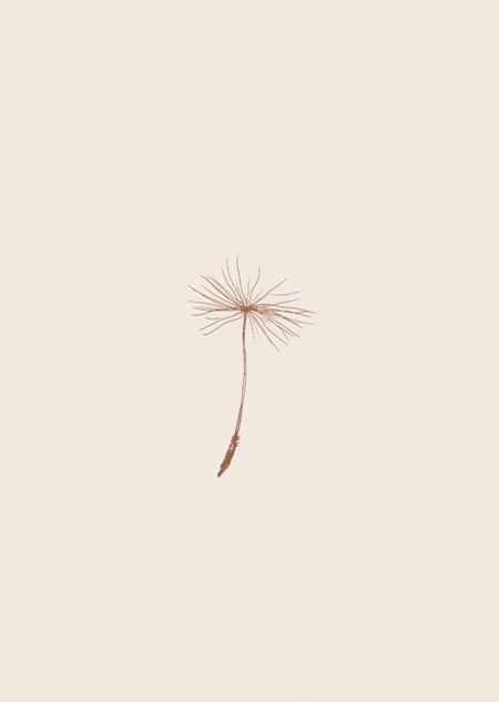 Dandelion seed (beige) - A4 poster 