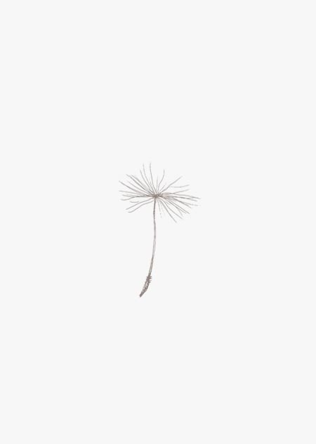Dandelion seed (grey) - A4 poster 