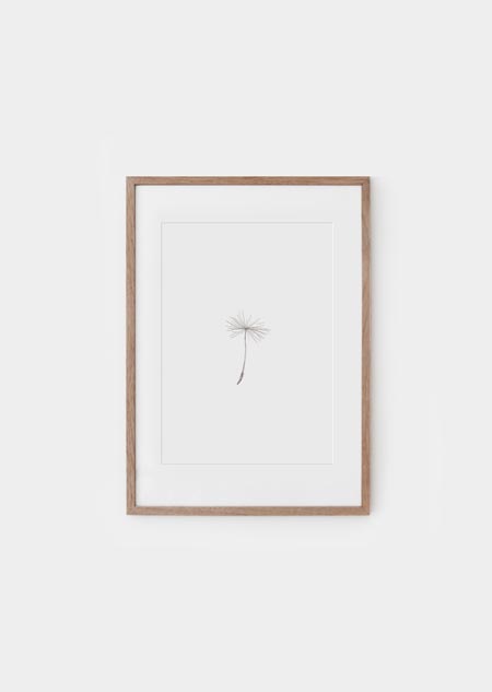 Dandelion seed (grey) - A4 poster 