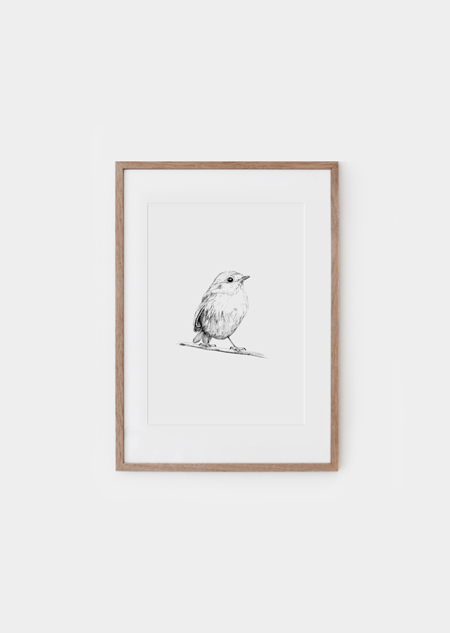 Robin (bw) - A4 poster