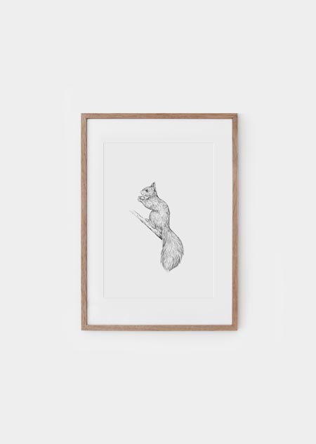 Squirrel - A4 poster  