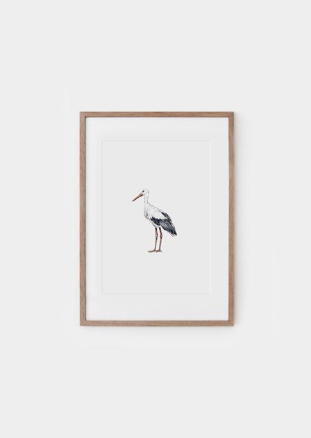Stork (color) - A4 poster