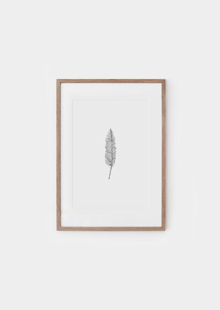 Feather - poster