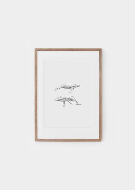 Whales - A4 poster