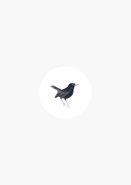 Sticker roll of 50 - blackbird