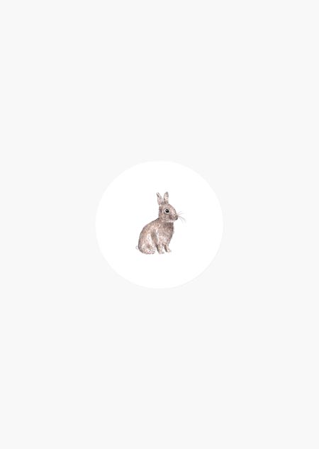 Sticker rol van 50 - konijntje (kleur)