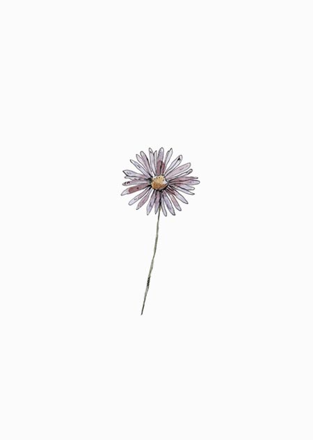 Aster (color)