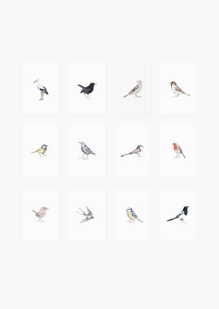 Birds set of 12 